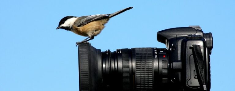 DENNEY-RANCH-2 DENNEY-RANCH-2