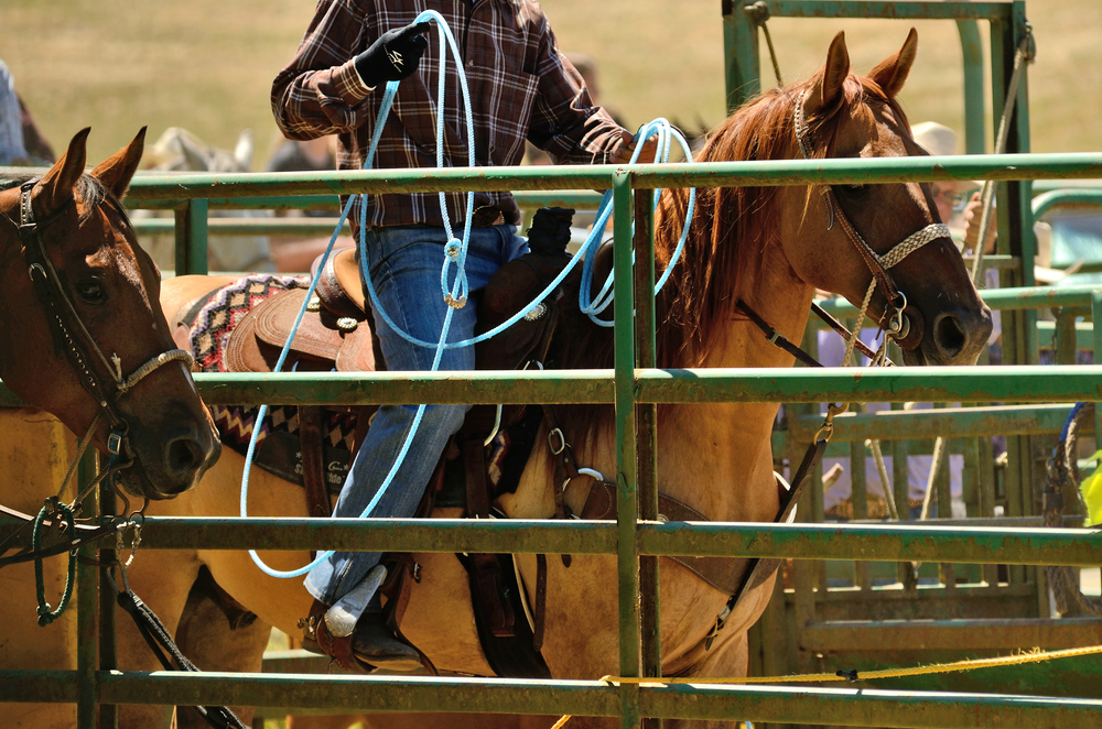 Where to see Highland Lakes Rodeos this Summer The Highland Lakes of