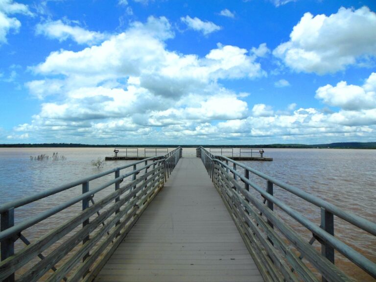 Park Store 9 768x576