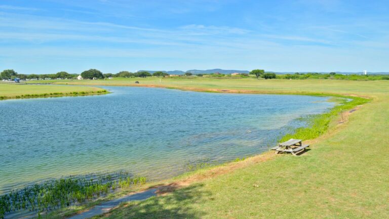 3e4acb4c d1ee 4446 8b62 03a11b65f188.f10 7 768x432