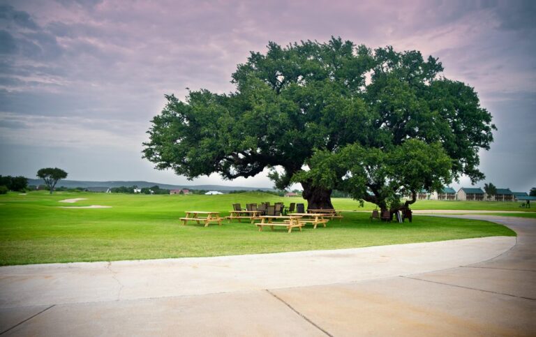 f2c60444 a06f 4528 9ae7 a0cd0f61d4a3.f10 3 768x483