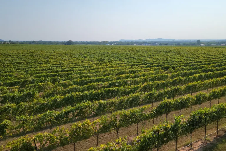 795c64b3 f562 47f4 820b dd89294302ce 768x512