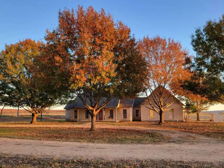 f6c9672d 013c 4c77 8046 8d1a9cdbea35 768x576