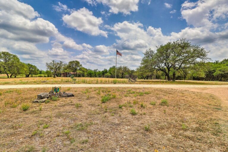 d34d8e21 c1a5 4310 aff3 d654ae4e5550 768x512