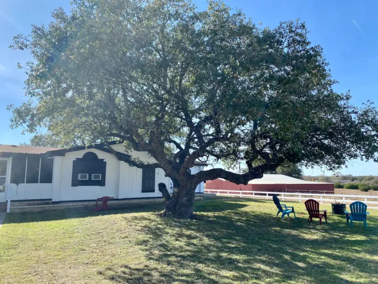 2b60c979 86ea 4477 864e d9d5b8417ac6 768x576