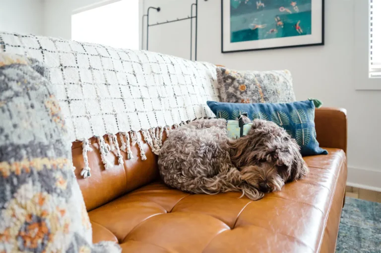 418dbc03 a768 427e b6fb ebbd3030cb27 768x511