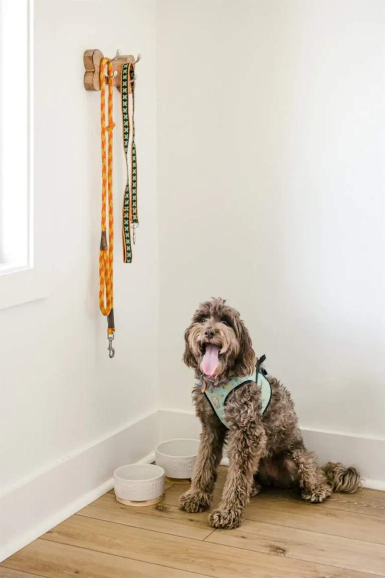 4886b4b2 9e94 4fd3 ac5a 485451853935 768x1154