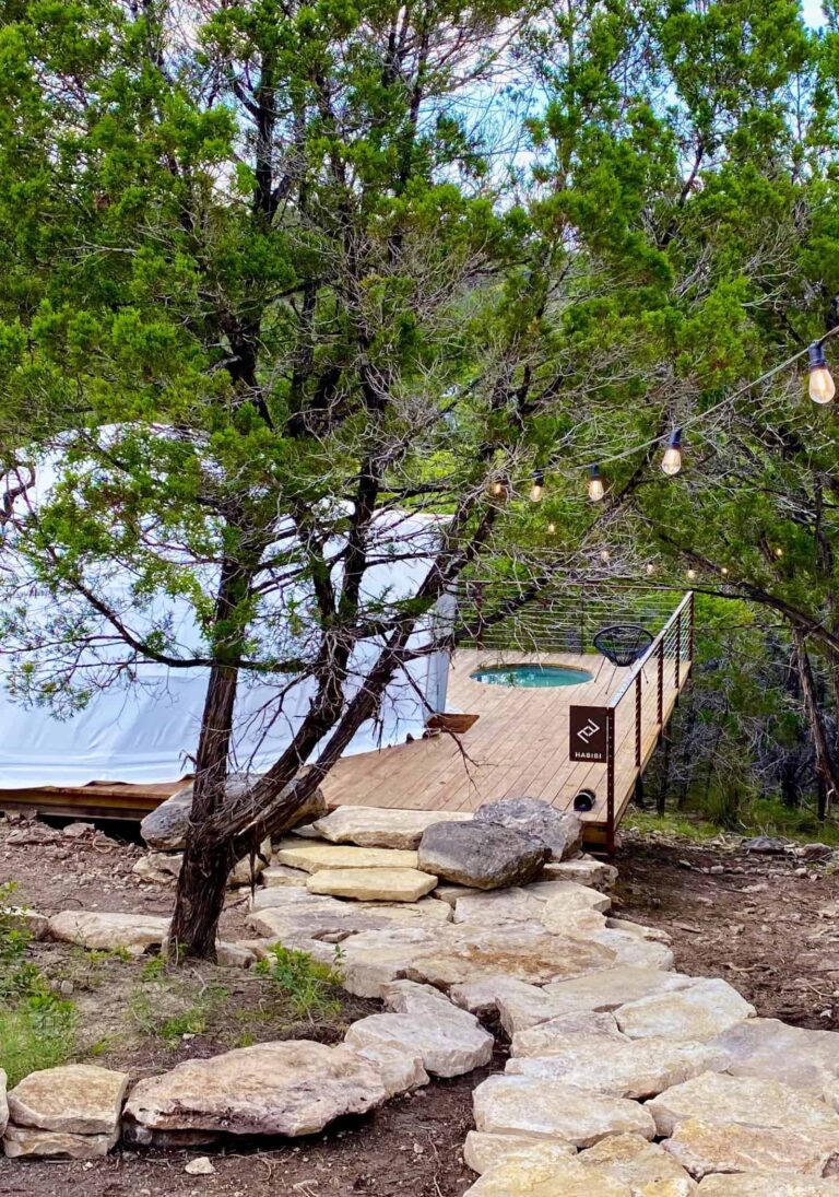 61424b750b8ca81d374eaa9d missing dome1 habibi outside path p 1600 768x1095