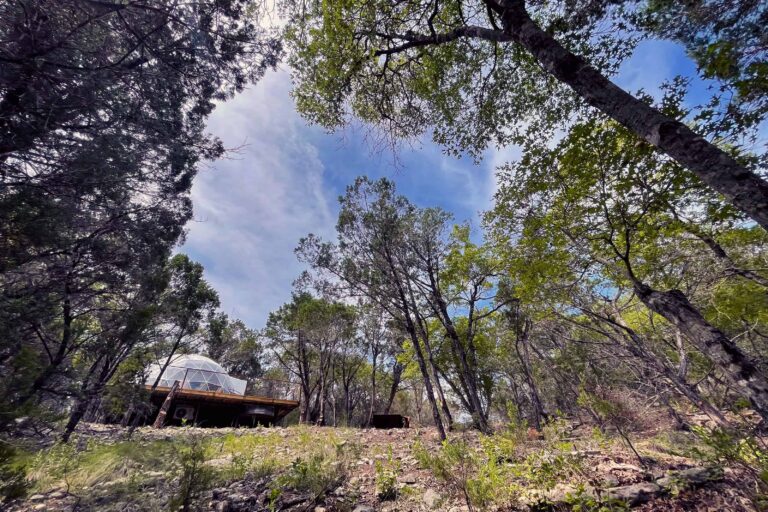 614283024317a102417ae85f missing dome2 morii exterior trees pit p 3200 768x512