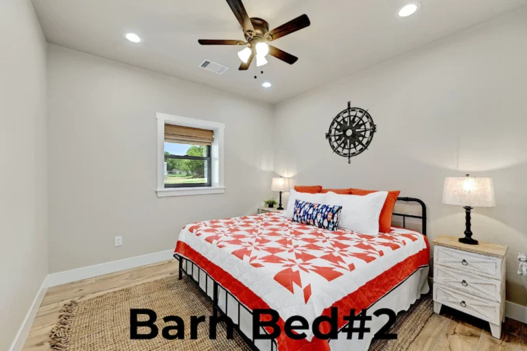 b12d1558.f10 768x512