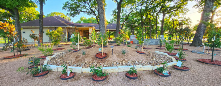 2f56e6 1735e9bb793e4af08e8e1b1530b2abe0mv2 768x300