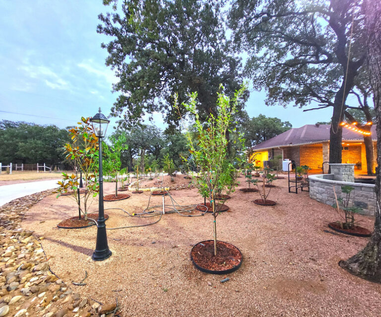 2f56e6 abd99faf21234a13ab1660130fa10fbfmv2 768x640