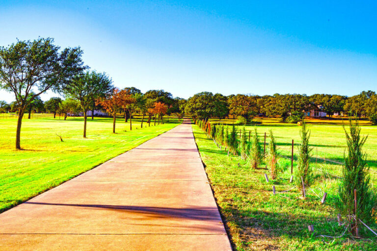 2f56e6 abf344c2fa94436c93cf87e3967215eemv2 768x512