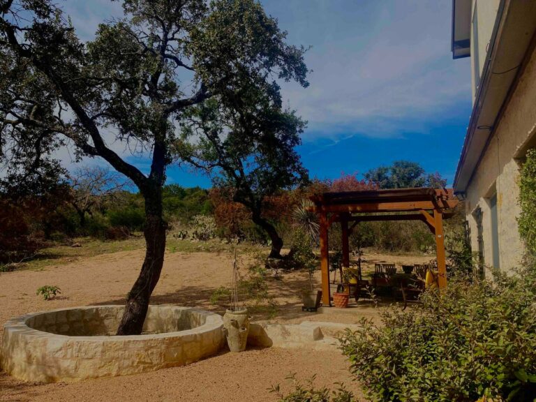 150dadc9 b289 4dc9 8157 ccf8fbccc95b 768x576