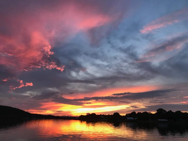 6bf78c87 143d 4f77 8568 96348f16b50d 768x576