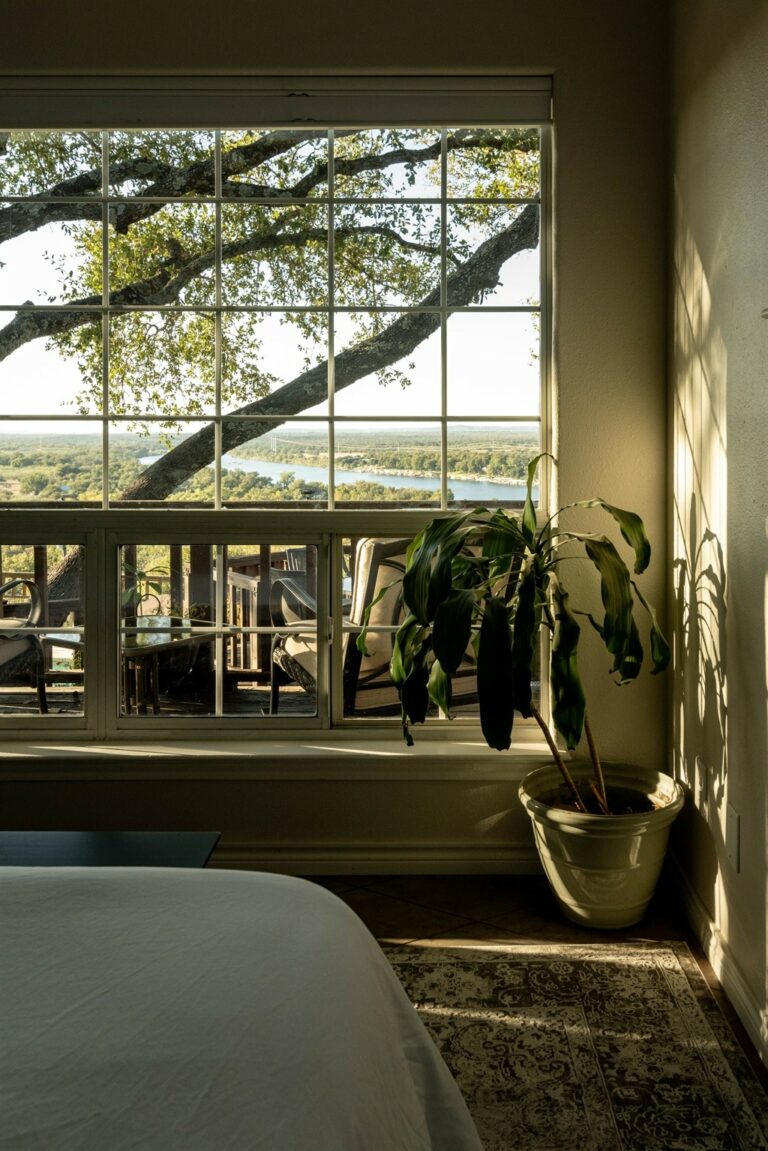 7f529d28 e36d 4a65 a526 dca2fc04a53f 768x1151