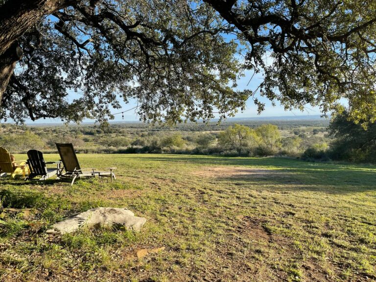 d6bc1edb f3e1 472d a003 d90efed28875 768x576