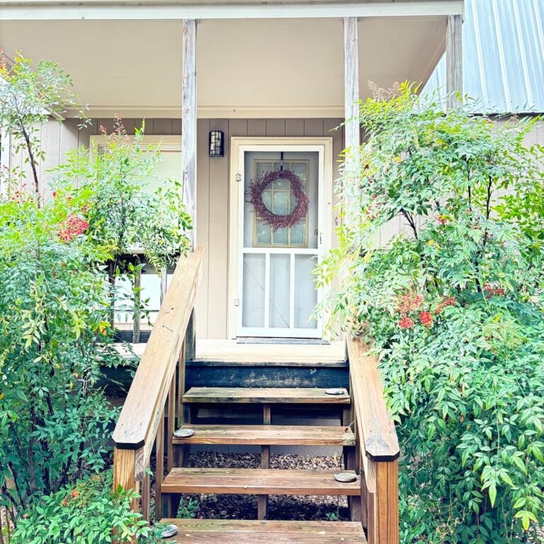 059cc1a6 334a 43a0 98c1 74d8df811f51 768x768