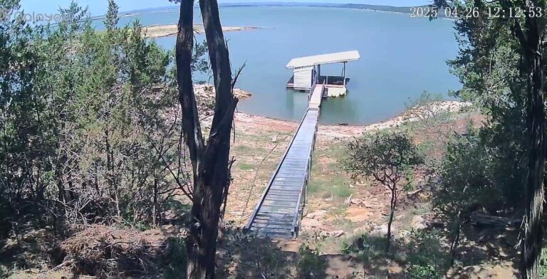 5e553296 1cc5 4e3e a767 d7b26ba02b09 768x392