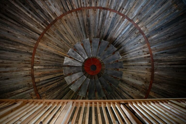 66dcfd67 7c72 4f16 8269 6091f4f128de 768x513