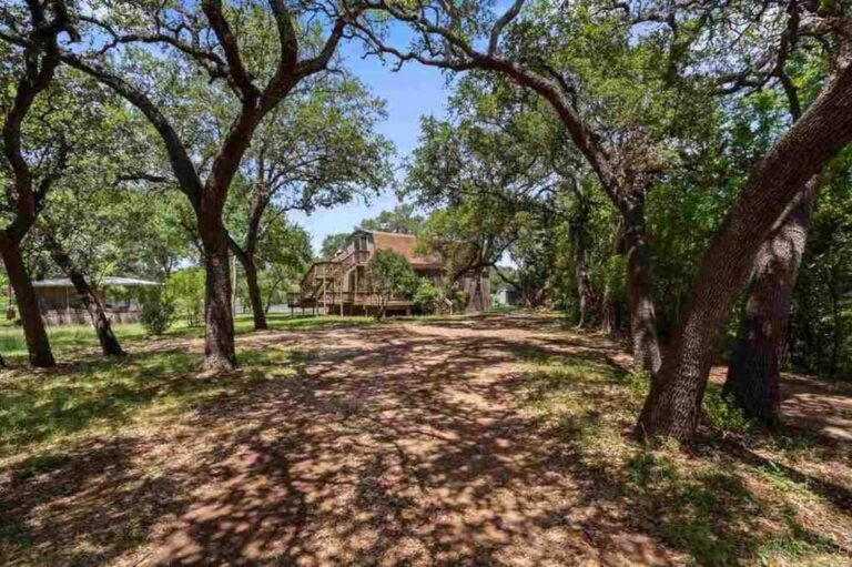 e3fb5366 783a 4cc5 aa0b 619422969a9c 768x511