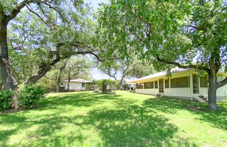 95e60b8f 9ff7 4423 a70f 7495bdf847bcjpeg 768x498